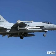 巴铁强硬回应土耳其：不是我们的技术你拿什么给别人？